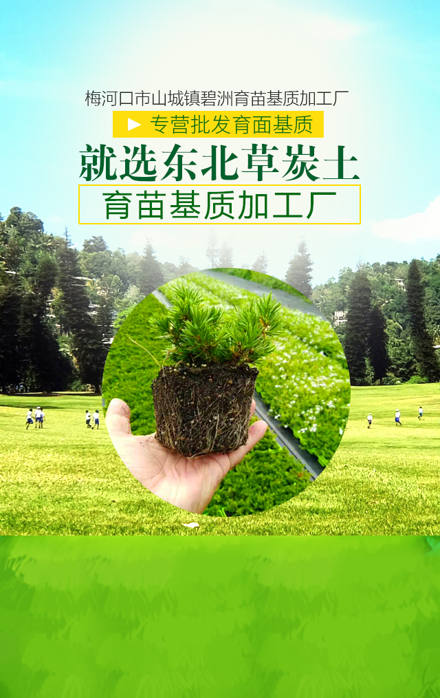 梅河口市山城镇碧洲育苗基质加工厂