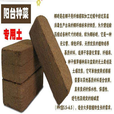印尼椰糠进口报关高效有保障，促进育苗基质加工升级